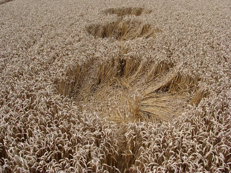 All Cannings Bridge, Wiltshire crop circle, aerial photo 15