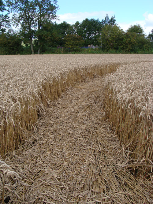 All Cannings Bridge, Wiltshire crop circle, aerial photo 17