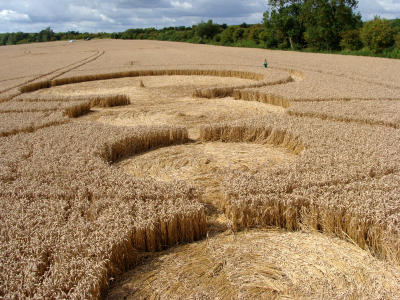 All Cannings Bridge, Wiltshire crop circle, aerial photo 12