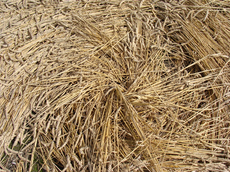 All Cannings Bridge, Wiltshire crop circle, aerial photo 14