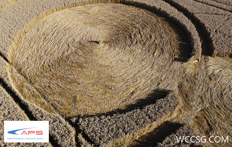 All Cannings Bridge, Wiltshire crop circle, aerial photo 10