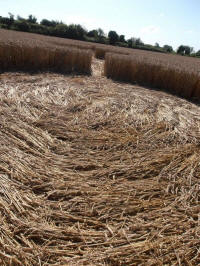 All Cannings Bridge, Wiltshire crop circle, aerial photo 67