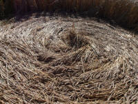 All Cannings Bridge, Wiltshire crop circle, aerial photo 55