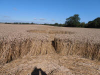 All Cannings Bridge, Wiltshire crop circle, aerial photo 54