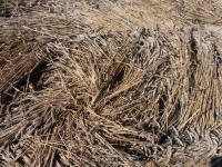 All Cannings Bridge, Wiltshire crop circle, aerial photo 53