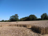 All Cannings Bridge, Wiltshire crop circle, aerial photo 52