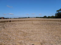 All Cannings Bridge, Wiltshire crop circle, aerial photo 48