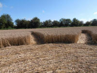 All Cannings Bridge, Wiltshire crop circle, aerial photo 59