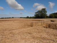 All Cannings Bridge, Wiltshire crop circle, aerial photo 58