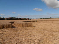 All Cannings Bridge, Wiltshire crop circle, aerial photo 61