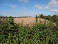 All Cannings Bridge, Wiltshire crop circle, aerial photo 62
