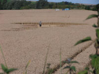 All Cannings Bridge, Wiltshire crop circle, aerial photo 63