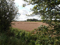 All Cannings Bridge, Wiltshire crop circle, aerial photo 22