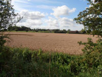 All Cannings Bridge, Wiltshire crop circle, aerial photo 20