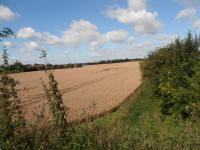 All Cannings Bridge, Wiltshire crop circle, aerial photo 21