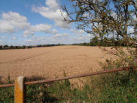 All Cannings Bridge, Wiltshire crop circle, aerial photo 19