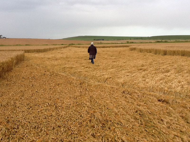 Allington (2), Wiltshire crop circle, aerial photo 26