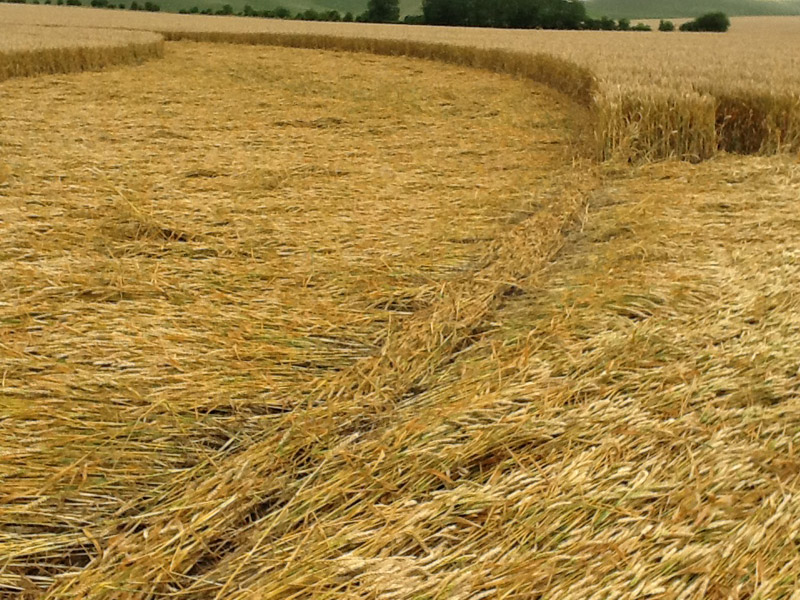 Allington (2), Wiltshire crop circle, aerial photo 23