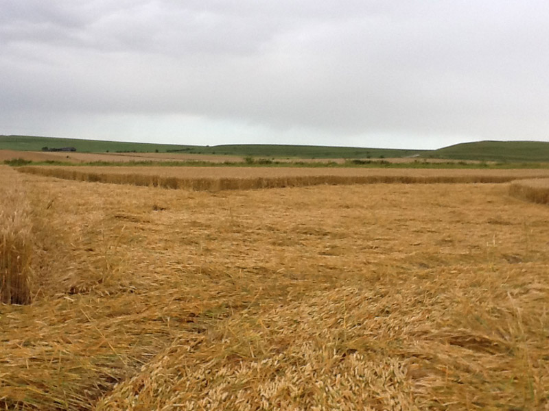 Allington (2), Wiltshire crop circle, aerial photo 25