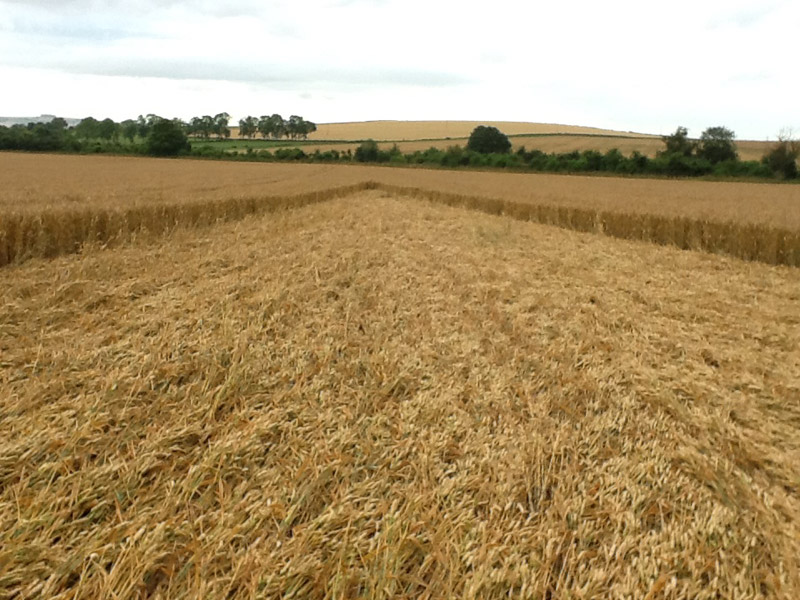 Allington (2), Wiltshire crop circle, aerial photo 21