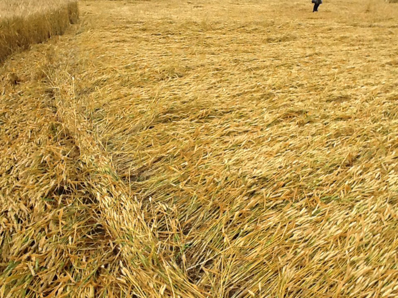 Allington (2), Wiltshire crop circle, aerial photo 24