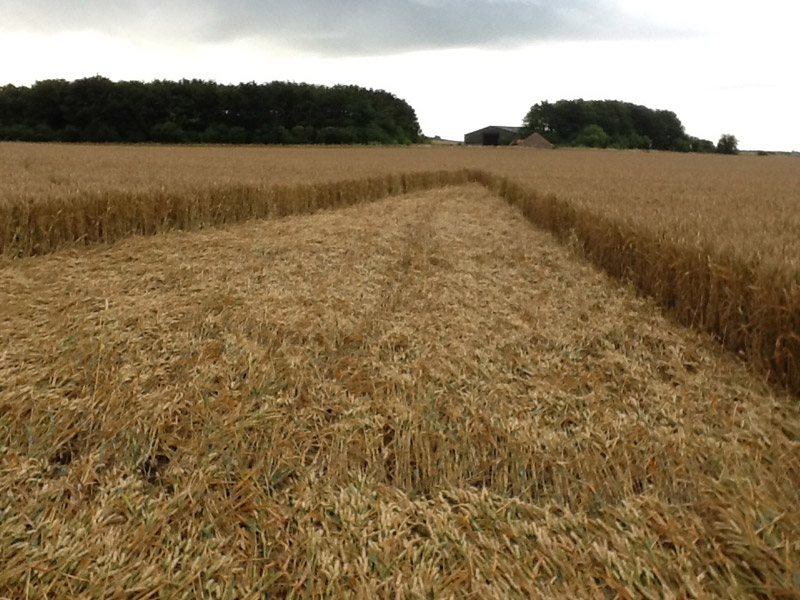 Allington (2), Wiltshire crop circle, aerial photo 20