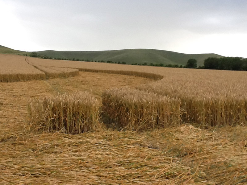 Allington (2), Wiltshire crop circle, aerial photo 22