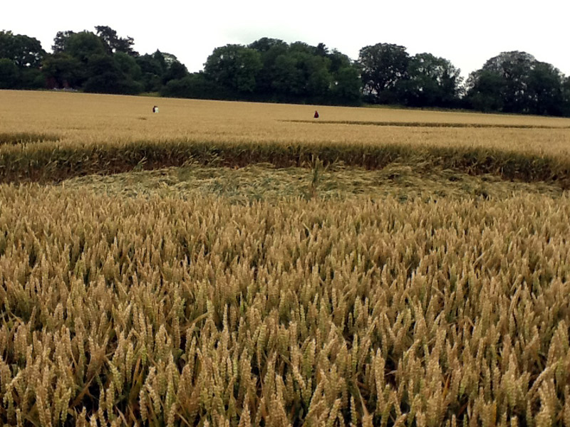 Avebury Stone Circle, Wiltshire crop circle, aerial photo 87
