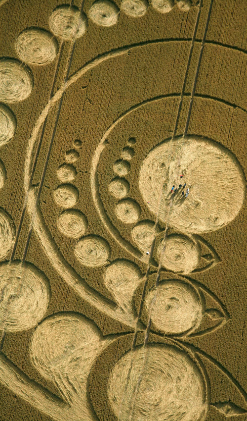 Avebury Stone Circle, Wiltshire crop circle, aerial photo 9