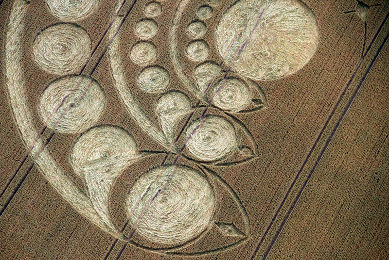 Avebury Stone Circle, Wiltshire crop circle, aerial photo 2