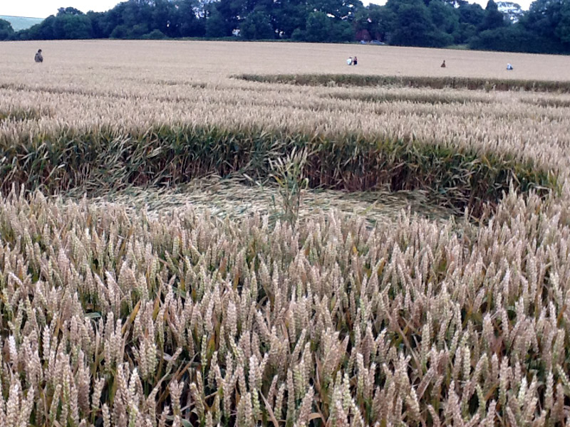 Avebury Stone Circle, Wiltshire crop circle, aerial photo 90