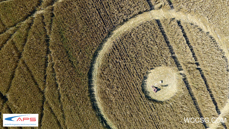 Bishops Cannings Down, Wiltshire crop circle, aerial photo 10