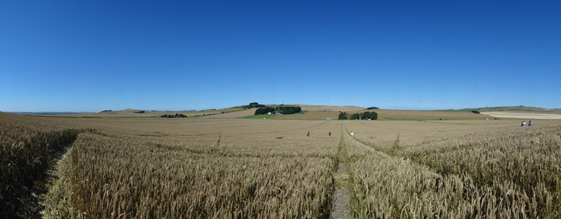 Bishops Cannings Down, Wiltshire crop circle, aerial photo 28