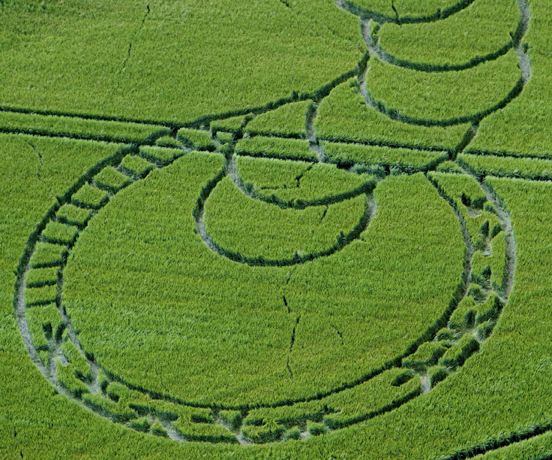 Boreham Woods, Wiltshire crop circle, aerial photo 7