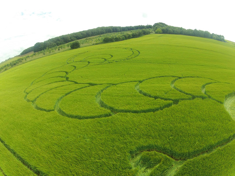 Boreham Woods, Wiltshire crop circle, aerial photo 15