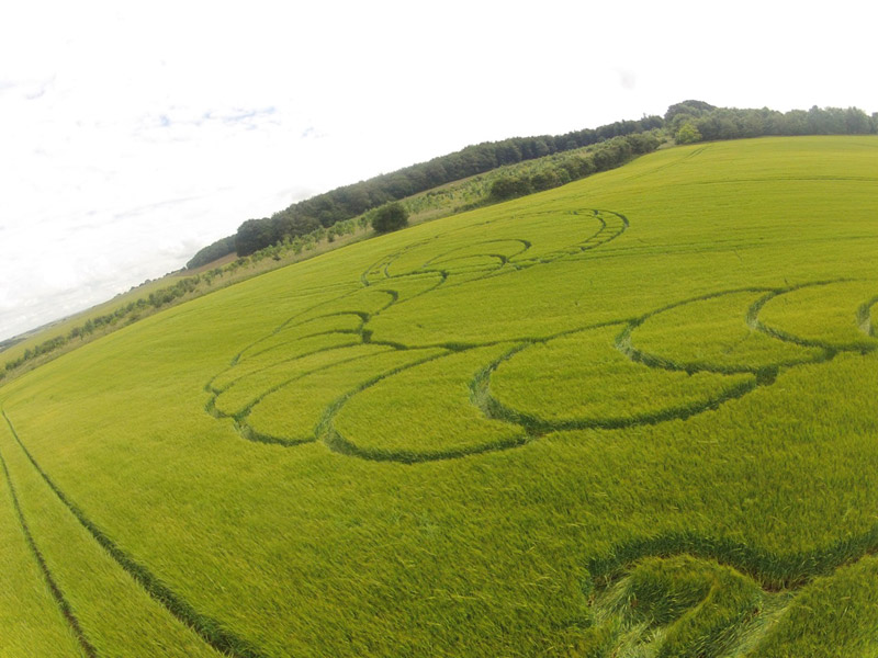 Boreham Woods, Wiltshire crop circle, aerial photo 17