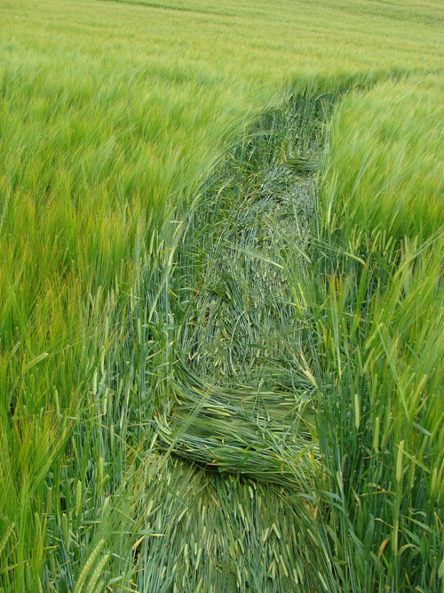 Boreham Woods, Wiltshire crop circle, aerial photo 19