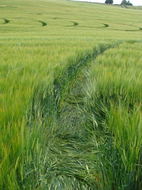 Boreham Woods, Wiltshire crop circle, aerial photo 18
