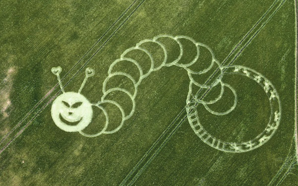 Boreham Woods, Wiltshire crop circle, aerial photo 2