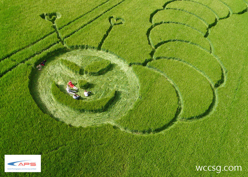 Boreham Woods, Wiltshire crop circle, aerial photo 10