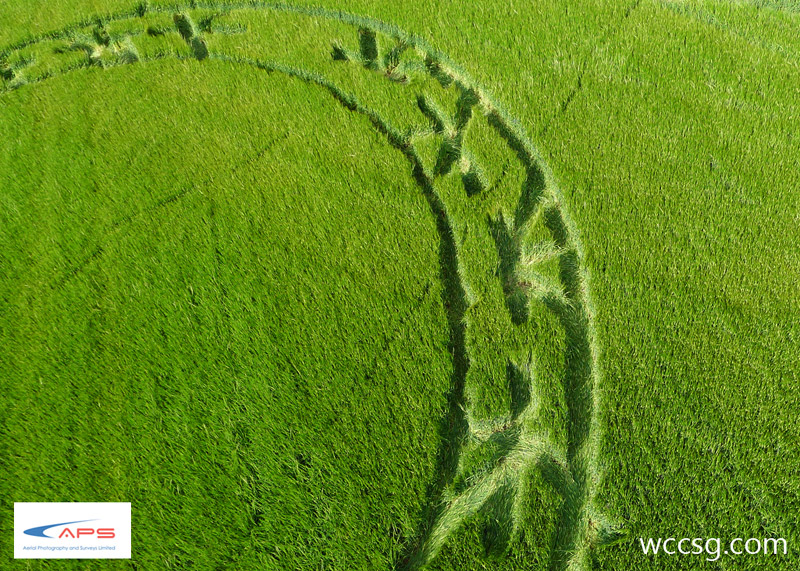 Boreham Woods, Wiltshire crop circle, aerial photo 12