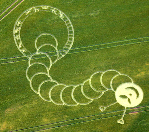 Boreham Woods, Wiltshire crop circle, aerial photo 8
