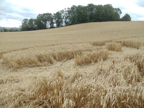 Cedar Tree Farm, Warwickshire crop circle, aerial photo 3