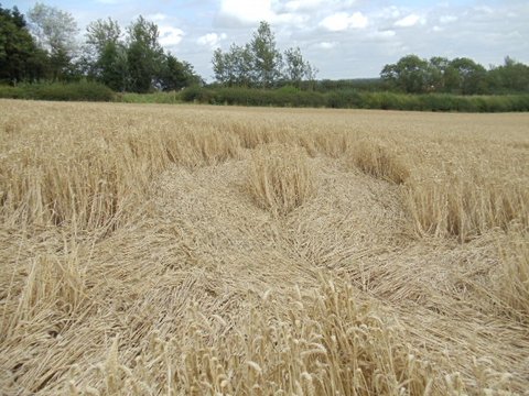 Cedar Tree Farm, Warwickshire crop circle, aerial photo 2