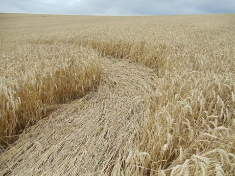 Cedar Tree Farm, Warwickshire crop circle, aerial photo 6