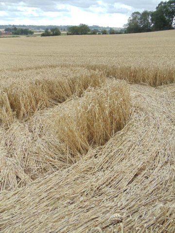 Cedar Tree Farm, Warwickshire crop circle, aerial photo 7