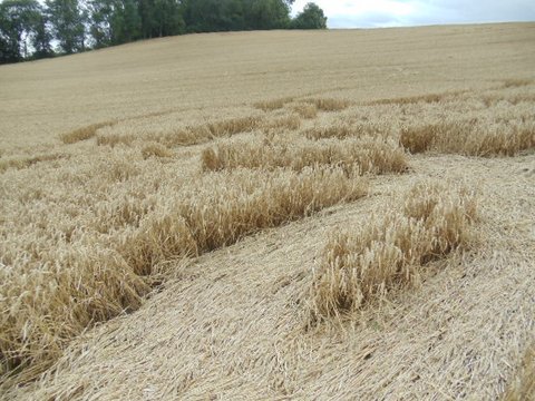 Cedar Tree Farm, Warwickshire crop circle, aerial photo 9