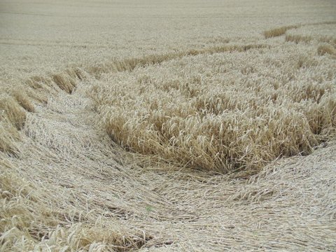 Cedar Tree Farm, Warwickshire crop circle, aerial photo 10