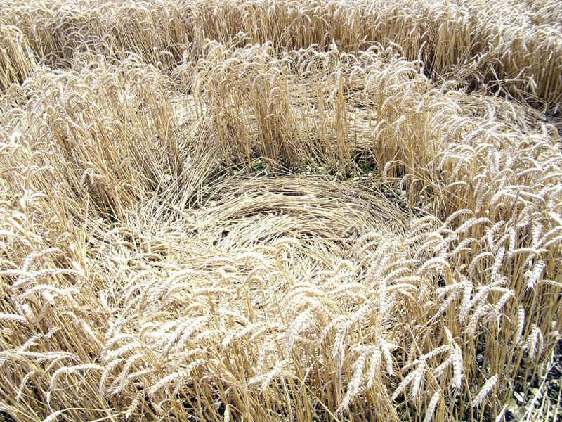 Cheesefoot Head (1), Hampshire crop circle, aerial photo 69