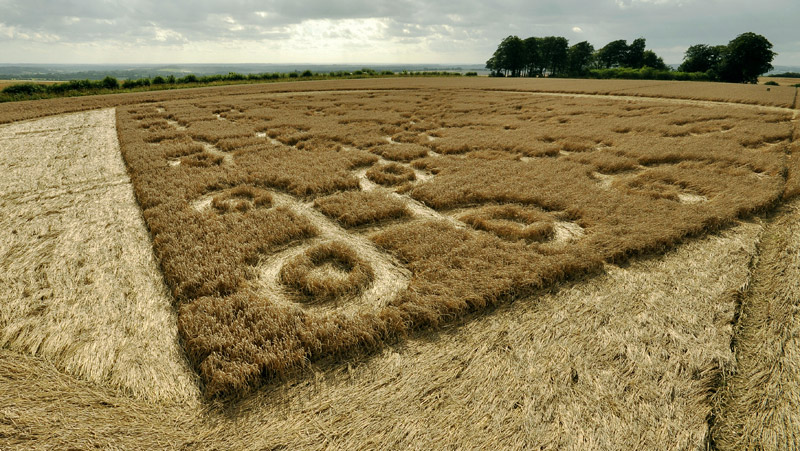 Cheesefoot Head (1), Hampshire crop circle, aerial photo 60